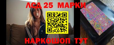стаф Можга