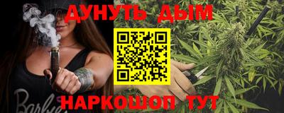 стаф Можга