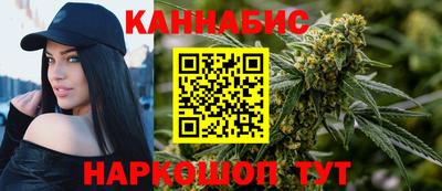 стаф Можга