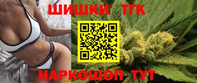 стаф Можга