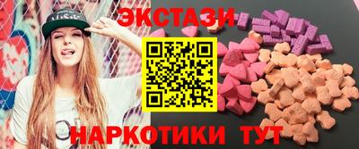 стаф Можга