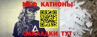 стаф Можга