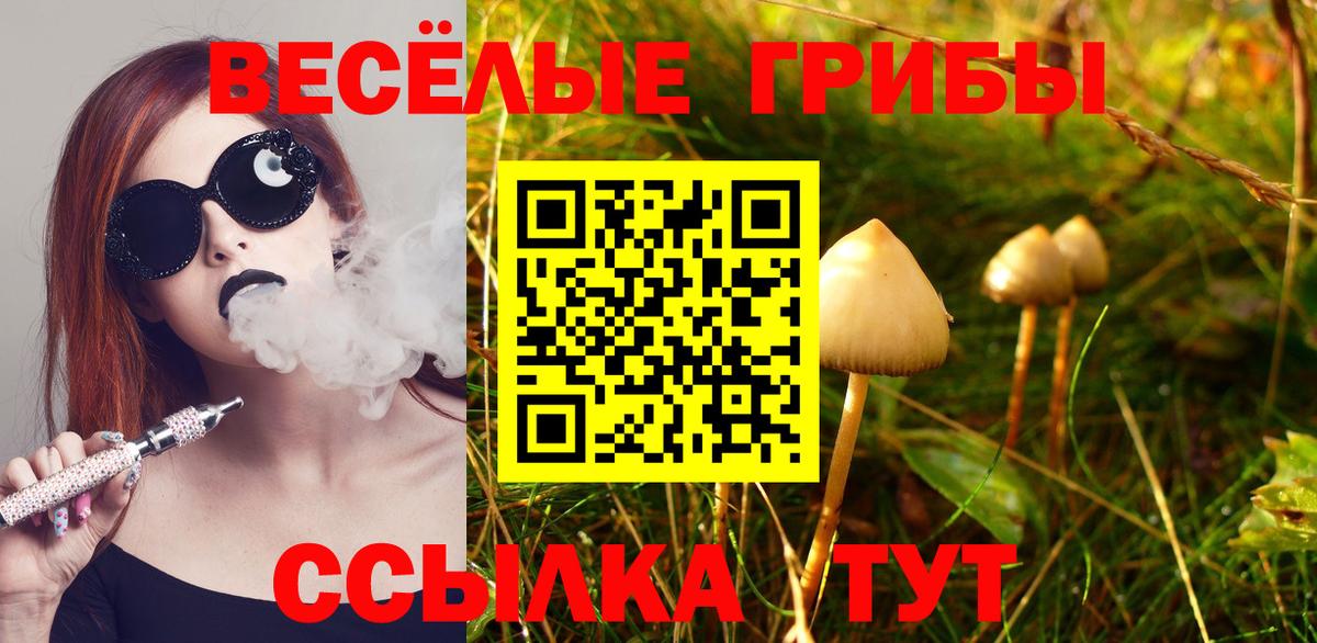 Шали  Псилоцибиновые грибы прущие грибы  Вход с VPN 